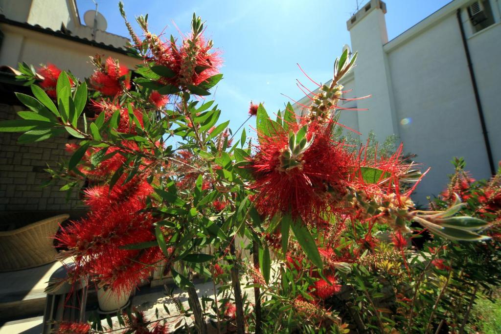 Apartment Borghese